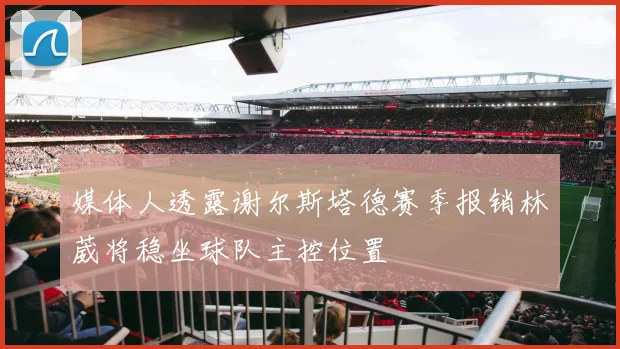 媒体人透露谢尔斯塔德赛季报销林葳将稳坐球队主控位置